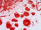 'blood' by Maria Boytunova